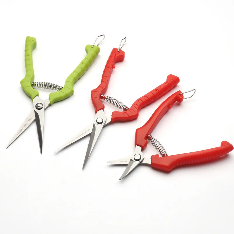 Fruit Branch Scissors